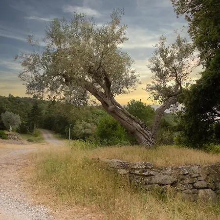 Il Paradiso Di Berignone Alojamento de Turismo Rural Caprareccia