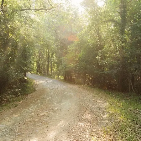 Alojamento de Turismo Rural Il Paradiso Di Berignone *