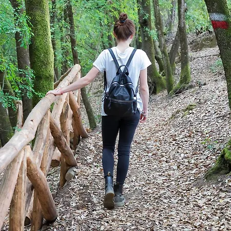 Il Paradiso Di Berignone Alojamento de Turismo Rural Caprareccia