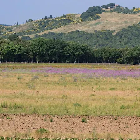 Il Paradiso Di Berignone Caprareccia