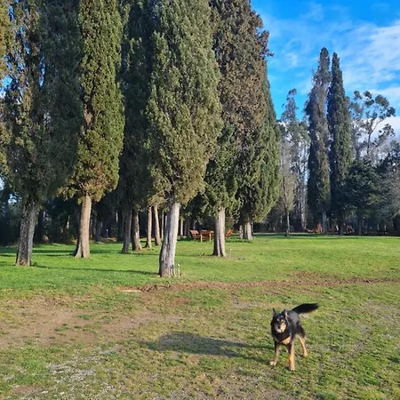 Il Paradiso Di Berignone * Caprareccia