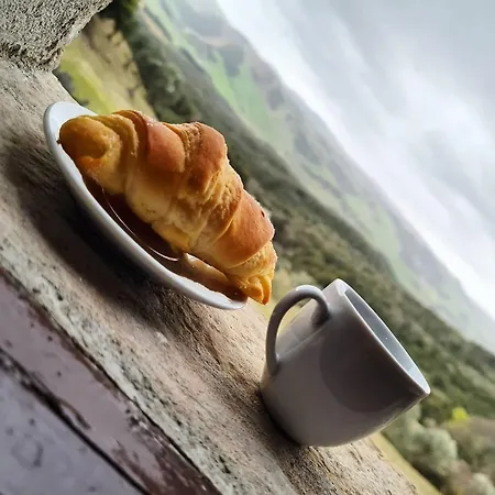 Il Paradiso Di Berignone Caprareccia
